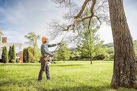 Best Seasonal Cleanup (Spring/Fall)  in Packanack Lake, NJ