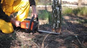 Best Soil Testing and Treatment  in Packanack Lake, NJ